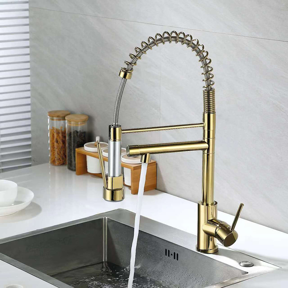 Single Hole Kitchen Faucet with Pull-Out Sprayer and Dual Spouts, Brass