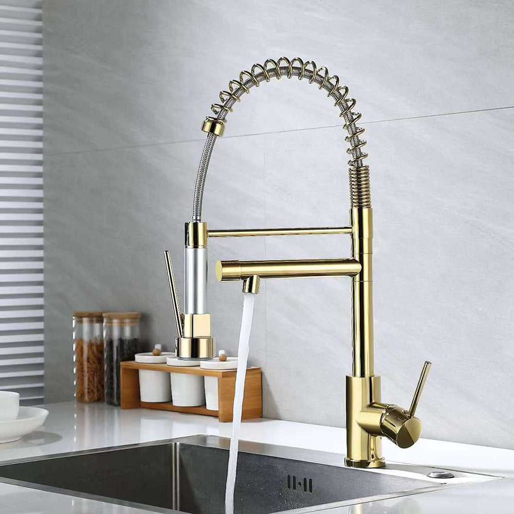 Single Hole Kitchen Faucet with Pull-Out Sprayer and Dual Spouts, Brass