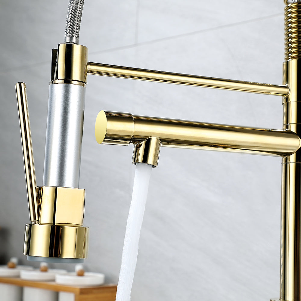 Single Hole Kitchen Faucet with Pull-Out Sprayer and Dual Spouts, Brass